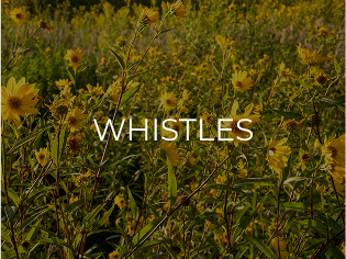 Whistles BRand